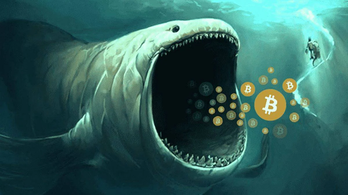 Kripto paralarda balina ne demek?
