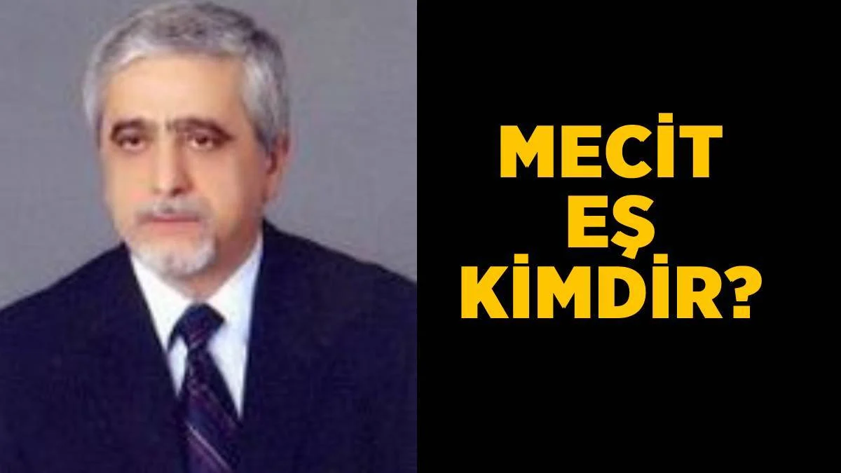 Mecit Eş kimdir? THY Yönetim Kurulu ve İcra Komitesi Başkan Vekili Mecit Eş nereli?
