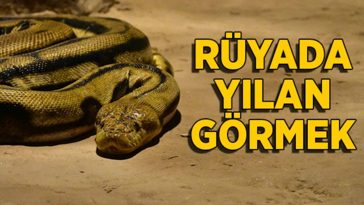 Rüyada yılan görmek | Rüyada yılan görmenin anlamı nedir? Diyanet rüya tabiri