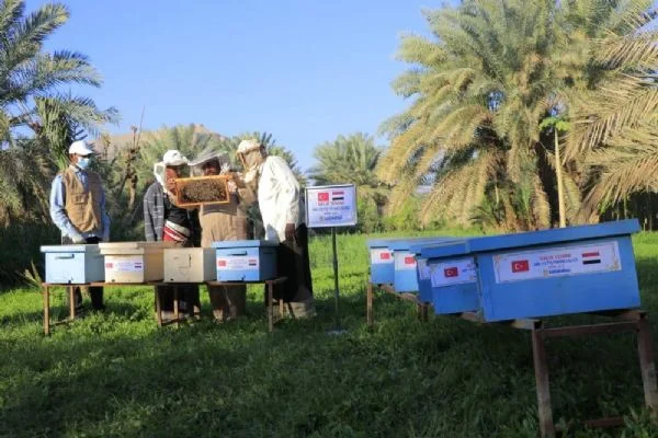 Sadakataşı'ndan Yemenli mültecilere gelir temini desteği