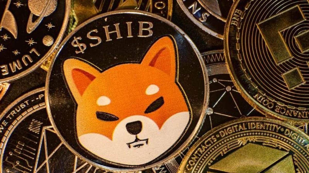 SHIB (Shiba Inu) nedir? SHIB nedir nasıl çalışır?