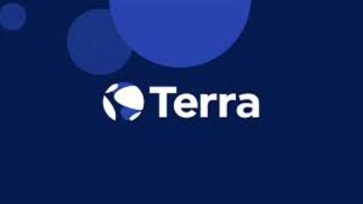 TerraUSD nedir ne amaçla kullanılır?