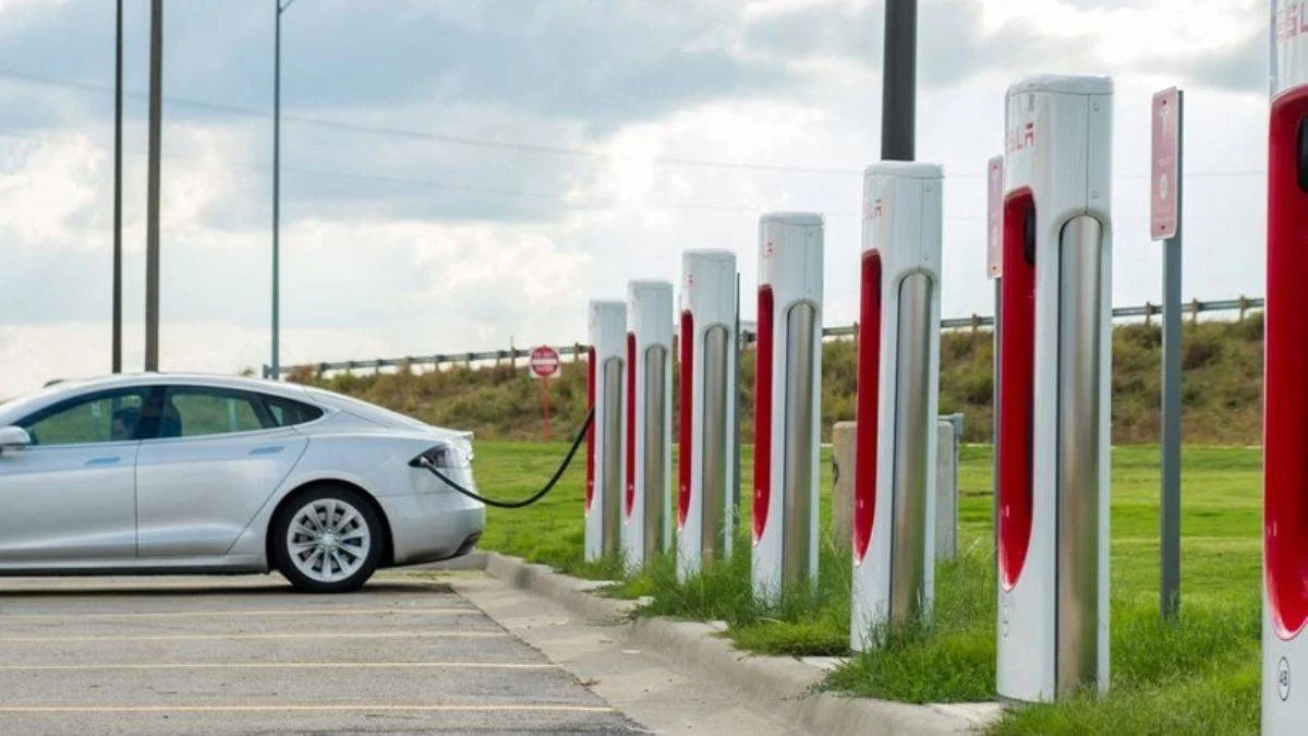 Tesla'dan İzmir hamlesi!