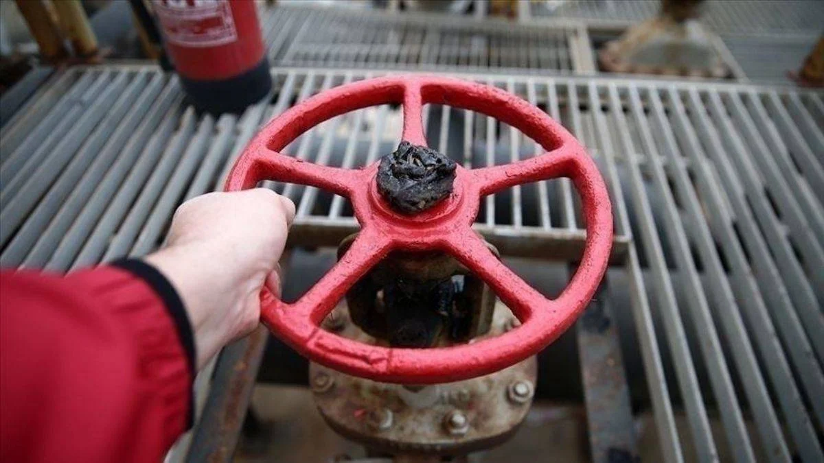 Türkiye'ye ilave doğalgaz gelecek