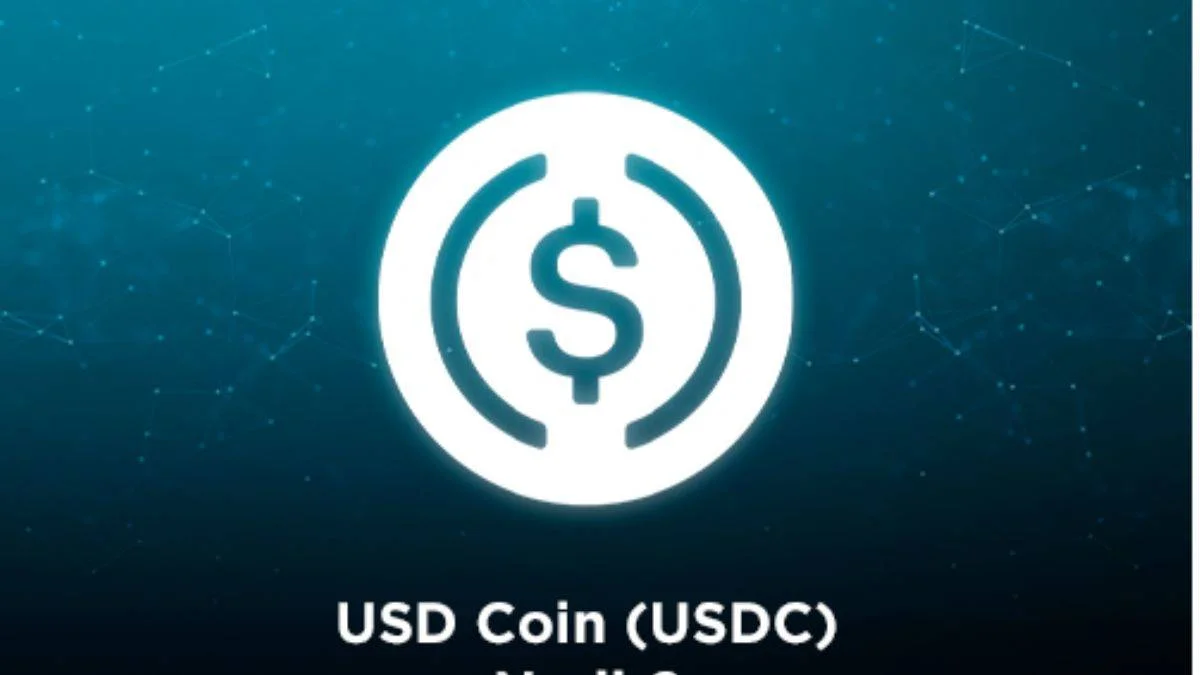 USD Coin nedir? USD nasıl çalışır?