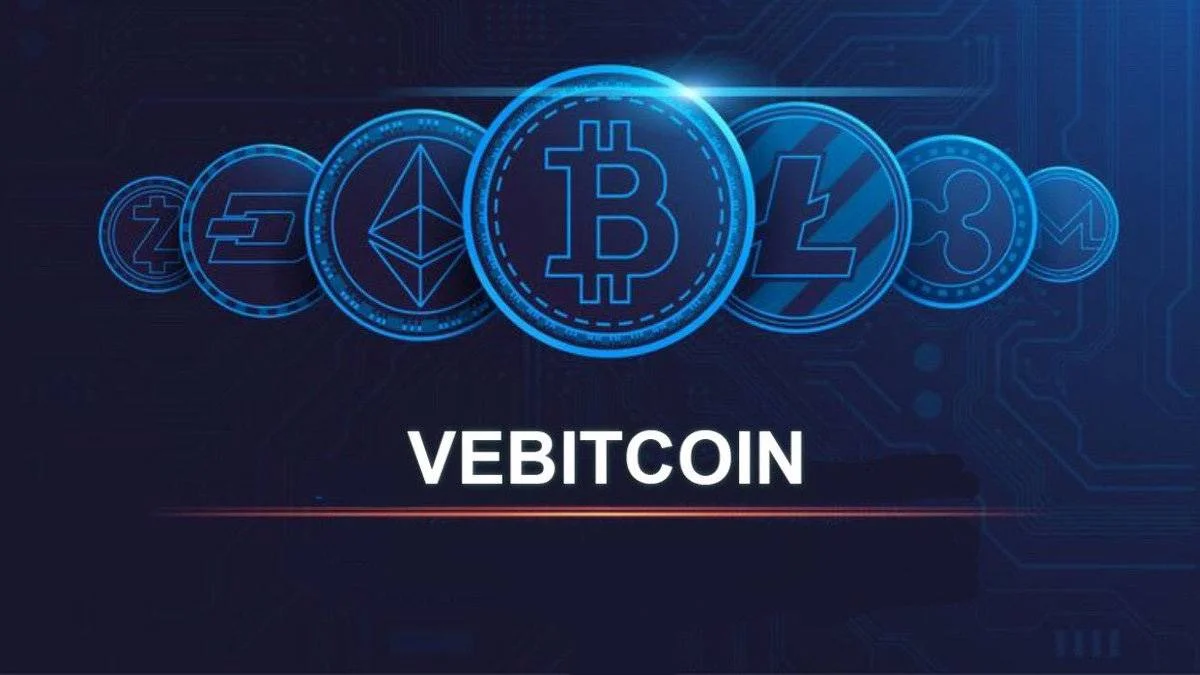 Vebitcoin mağduruna ''yağma'' davası: Mağdurken sanık olduk
