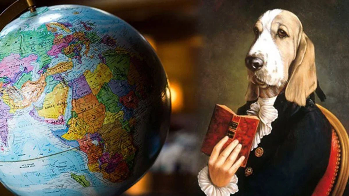 Yeni bir araştırmaya göre köpekler 'birden fazla dili' anlıyor olabilir