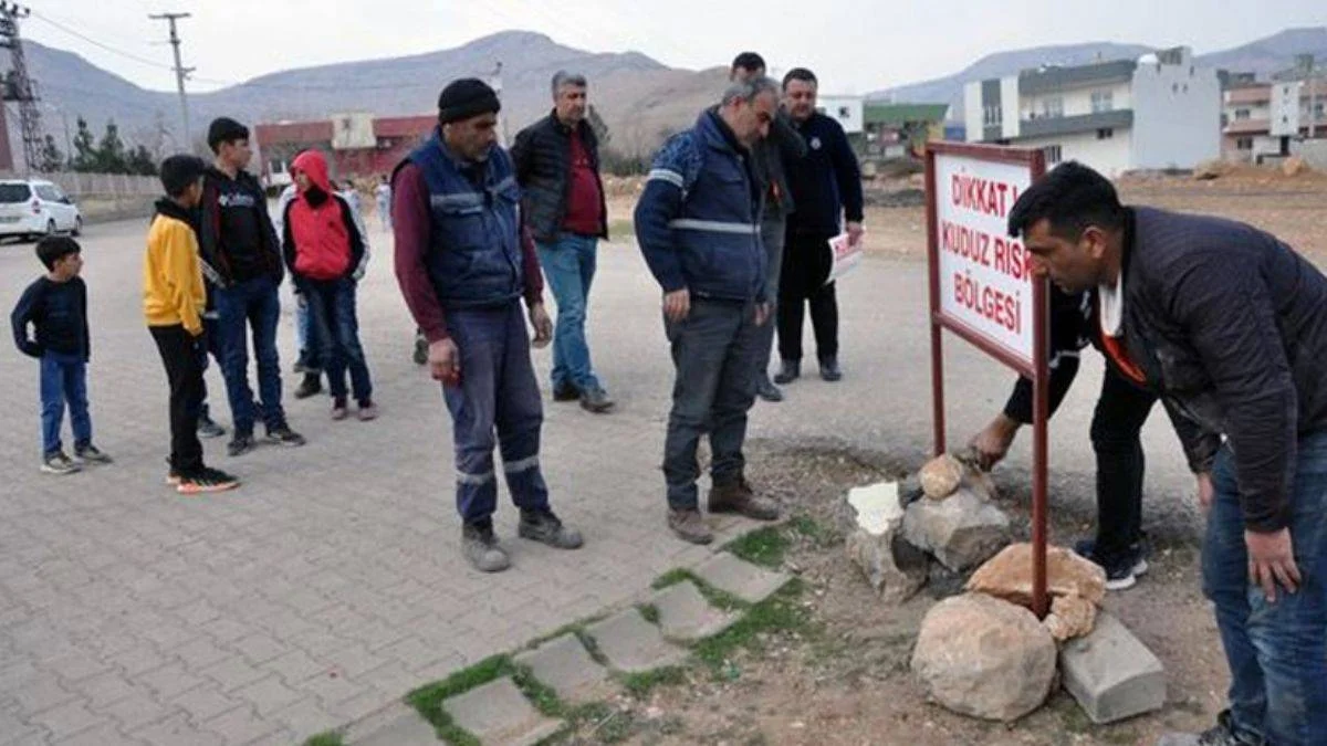 7 kişiyi ısıran köpek kuduz çıktı; mahalle karantinaya alındı