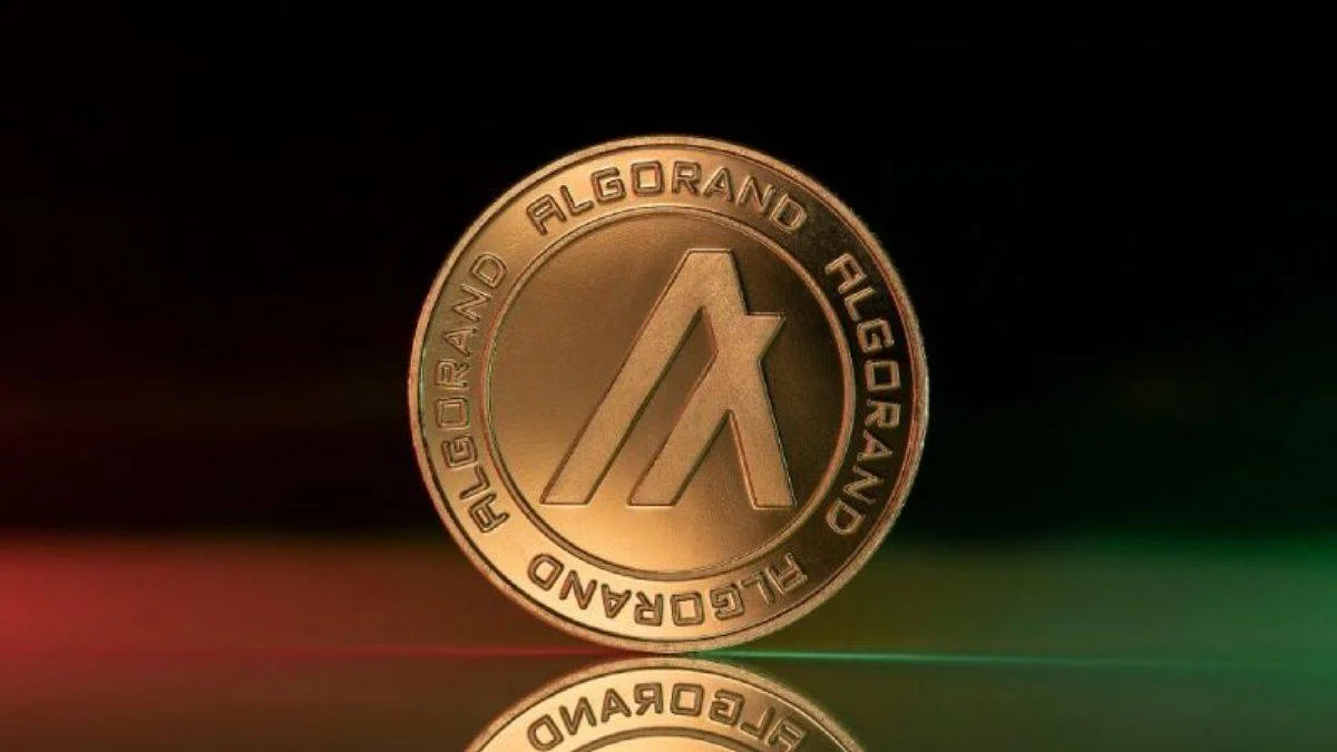ALGO coin nedir? ALGO coin ne işe yarar?