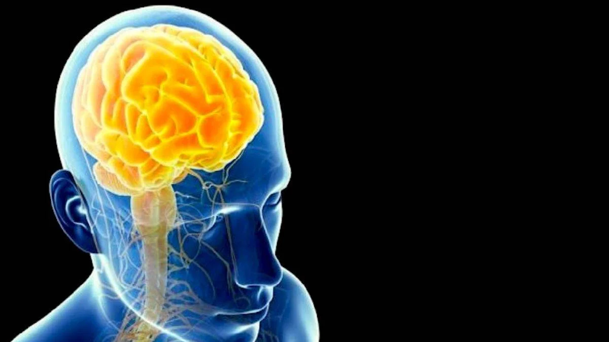 Beynin hangi kısmının ağzımızdan çıkanları kontrol ettiği keşfedildi