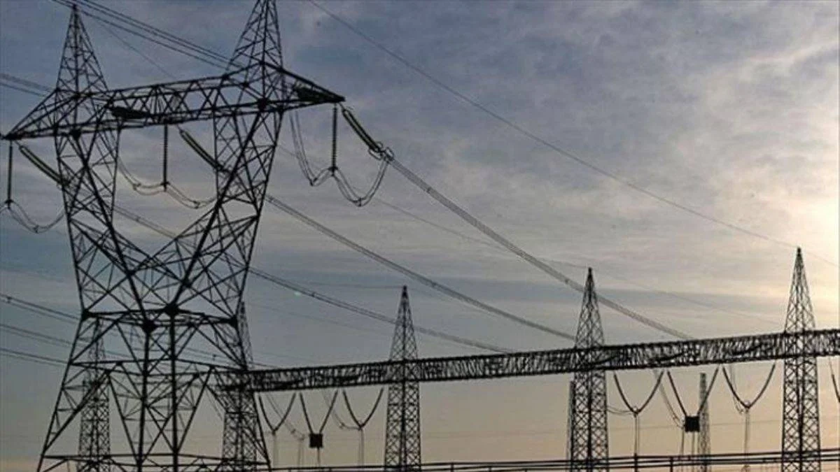 "Birçok elektrik dağıtım şirketinin patronu TÜSİAD üyesi"