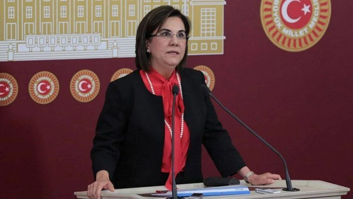 Elektrik zamlarını eleştiren Gaye Usluer Kimdir? Gaye Usluer hangi partiye mesnuptur ?