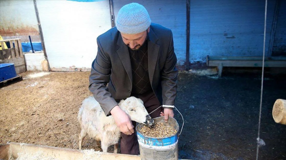 Evini satıp köyüne döndü, hayvancılık işini büyüttü