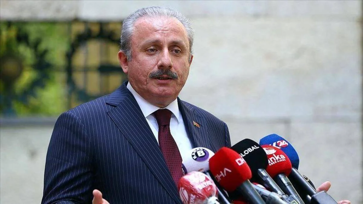 Mustafa Şentop kimdir? Mustafa Şentop adaylık açıklaması?
