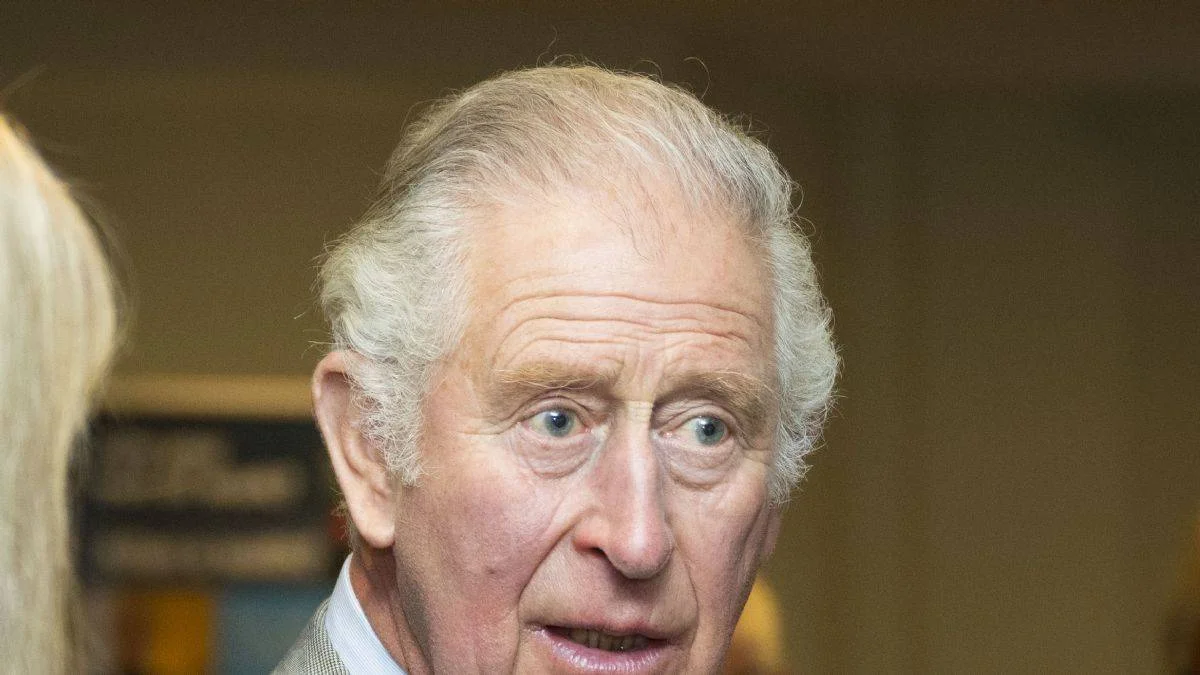 Prens Charles'ın vakfına soruşturma