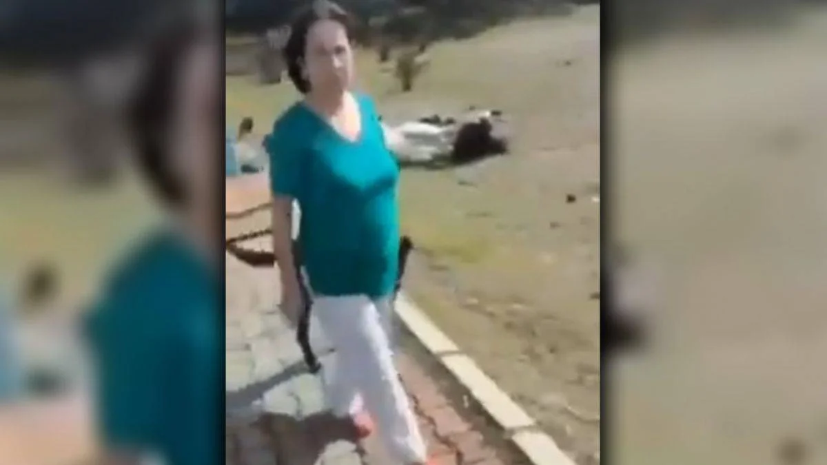 Seferihisar'da gündem olan kavgada yeni görüntüler