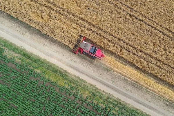 Tarımsal desteklere 3,2 milyar liralık ilave kaynakta öncelik stratejik ürünlerin
