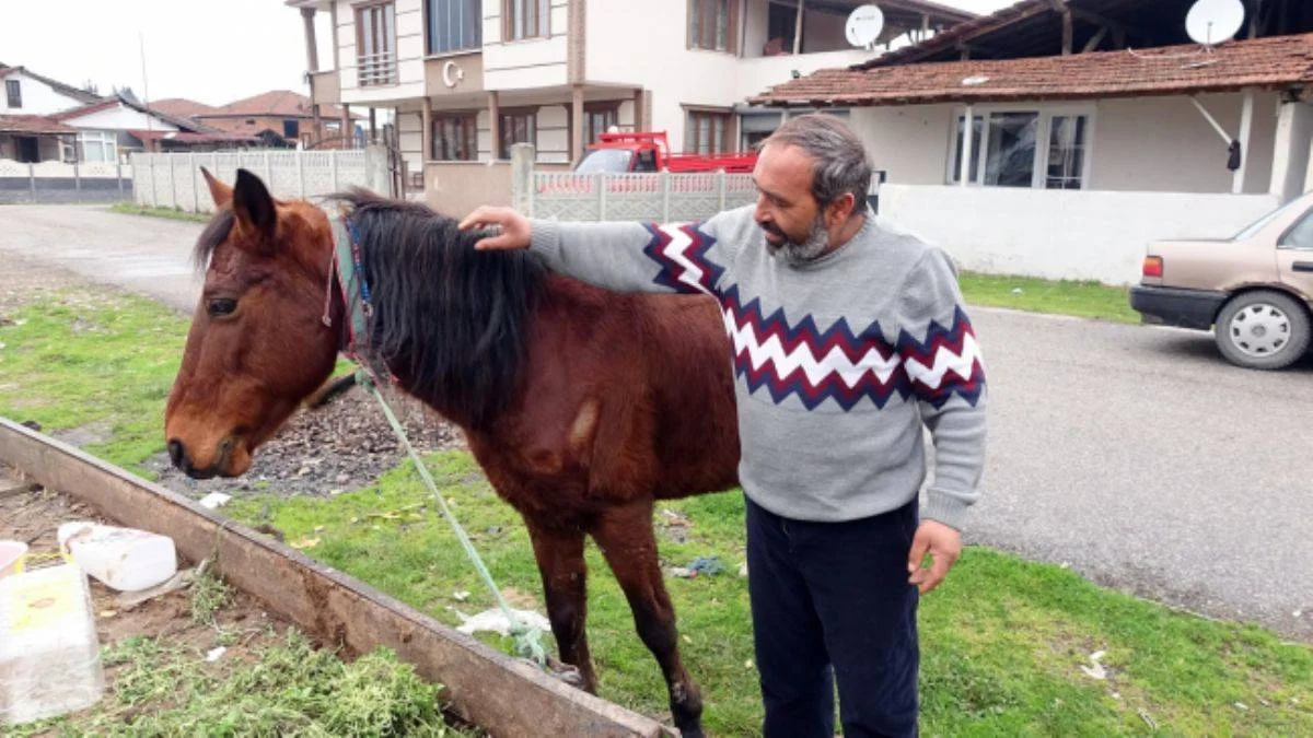 Atı yorulunca arabayı kendisi çekti