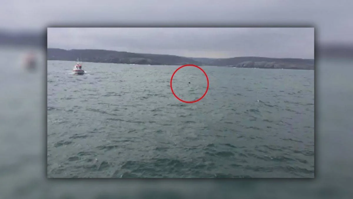 İstanbul Boğazı'nda ''mayın'' alarmı! Açıklamalar peş peşe geldi