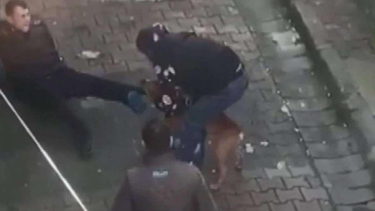 İstanbul'da pitbull saldırısı; 2 kişi tutuklandı