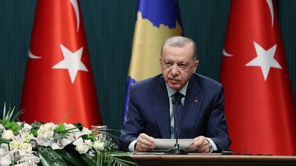 'NATO üyeleri de, AB üyeleri de sadece laf üretiyor'