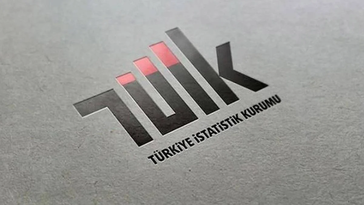 Nurettin Kaya kimdir? TÜİK Başkan Yardımcı Nurettin Kaya neden görevden alındı?