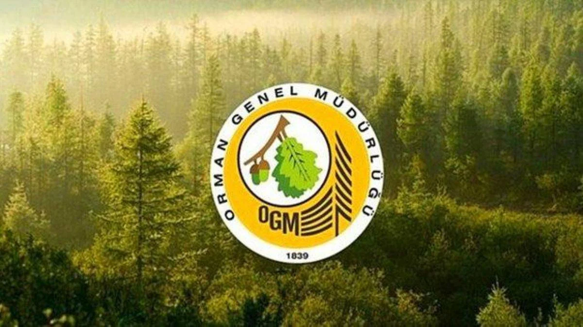 OGM 5000 işçi ve personel alım ilanı 2022 | Tarım ve Orman Bakanlığı personel ve işçi alım şartları nelerdir?