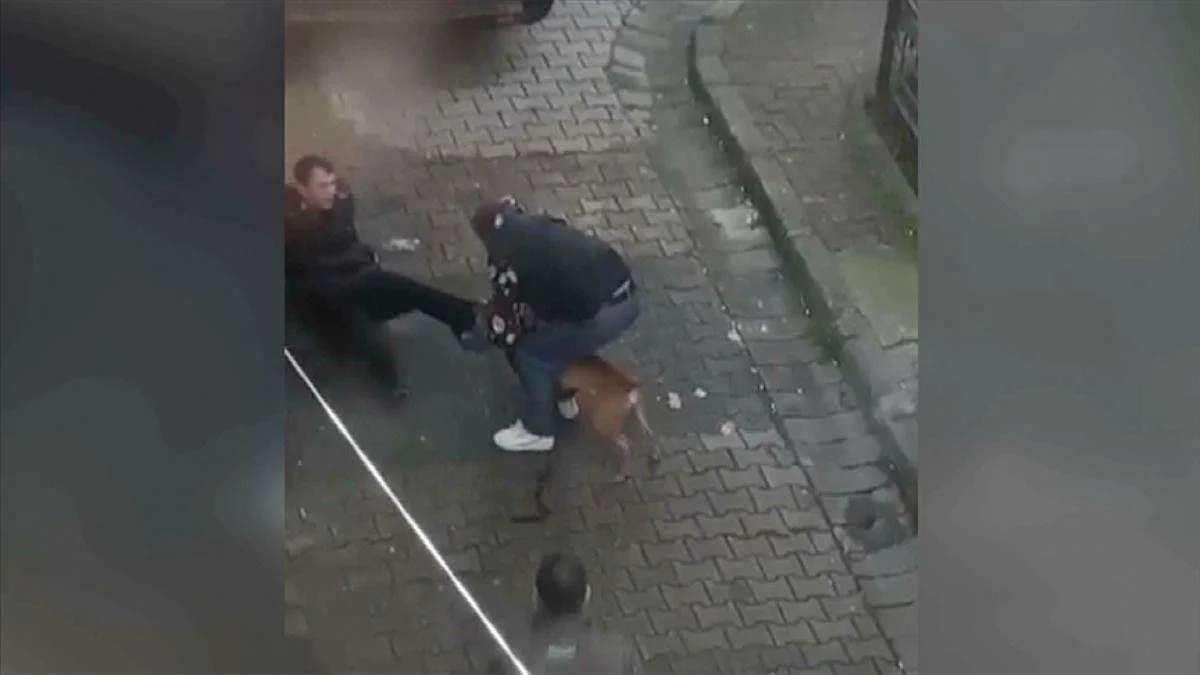 Pitbull saldırısı! Ayağını ısırdı, uzun süre bırakmadı