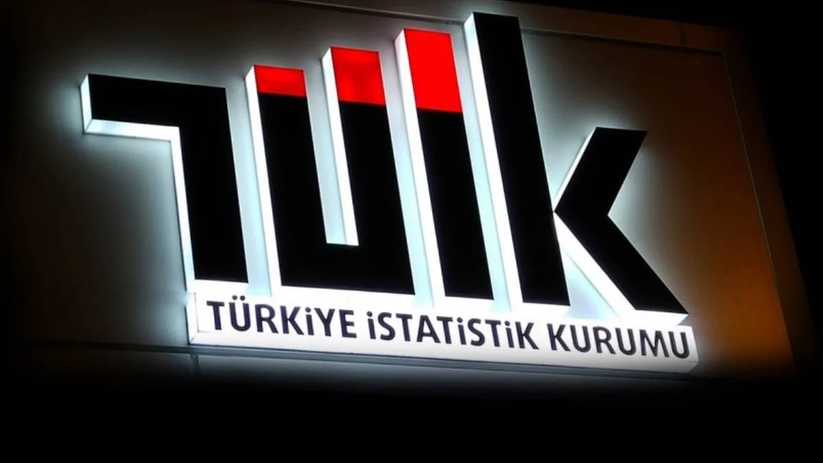 TÜİK Başkan Yardımcısı Umut Serhat İdman kimdir? Neden görevden alındı?