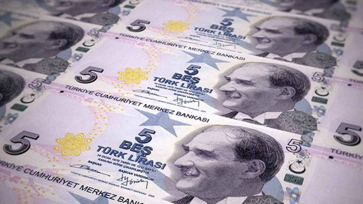 Yeni 5 TL nasıl olacak? Yeni 5 TL ne renk, hangi renk olacak? Yeni 5 TL banknot resmi yayınlandı mı?