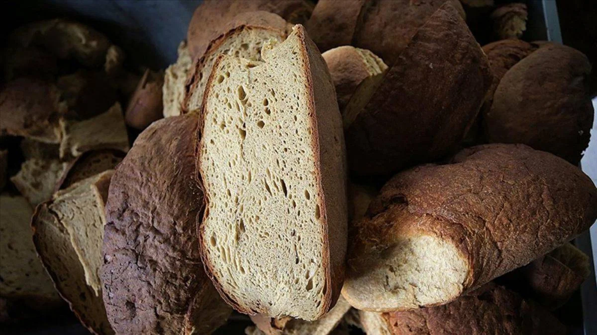 7 gün taze kalan ekmek!