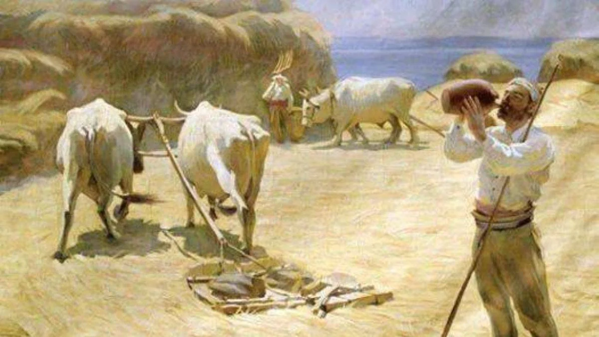 Afara ne demek? Afara kelime anlamı nedir? Afar ve afara aynı anlamı mı taşıyor? Afara Türkçe mi?