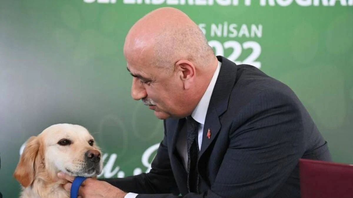 Bakan Kirişci: Hedef 2 milyon sokak hayvanını kısırlaştırmak