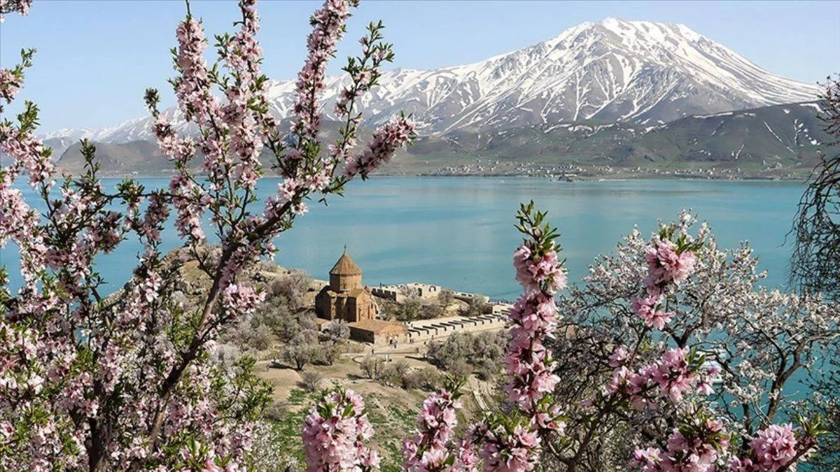 Çiçeklerle kaplanan Akdamar Adası'na fotoğrafçı akını
