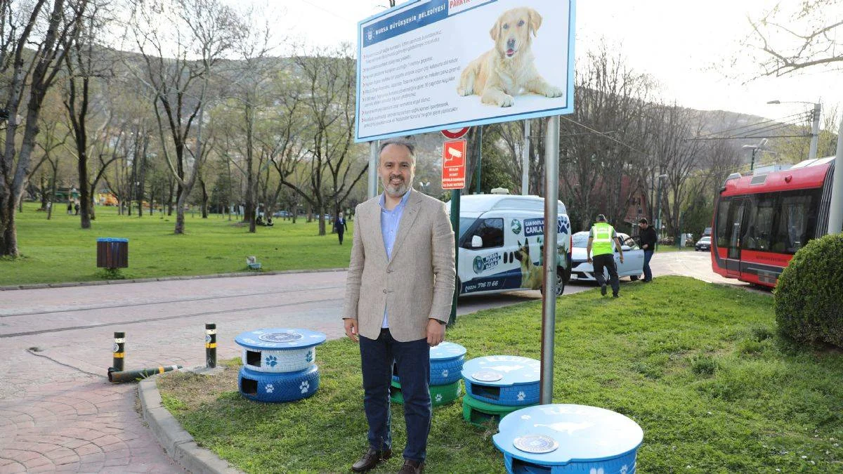Eski lastikler kedilere ev oldu