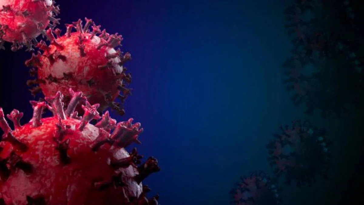 Gizemli hepatit vakaları artıyor