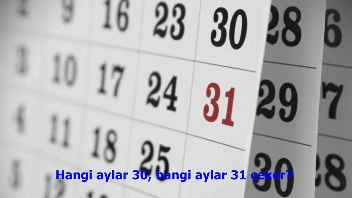 Hangi aylar 30, hangi aylar 31 çeker?