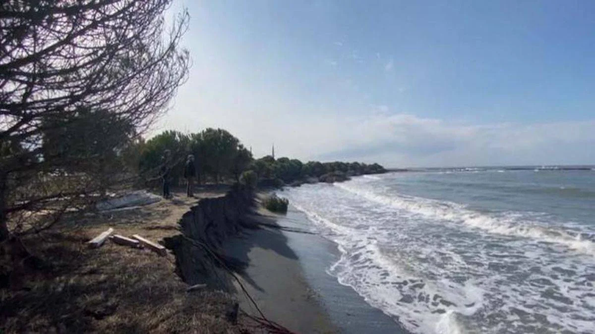 Karadeniz'de dalgalar kıyıyı yuttu! Evler tehlikede