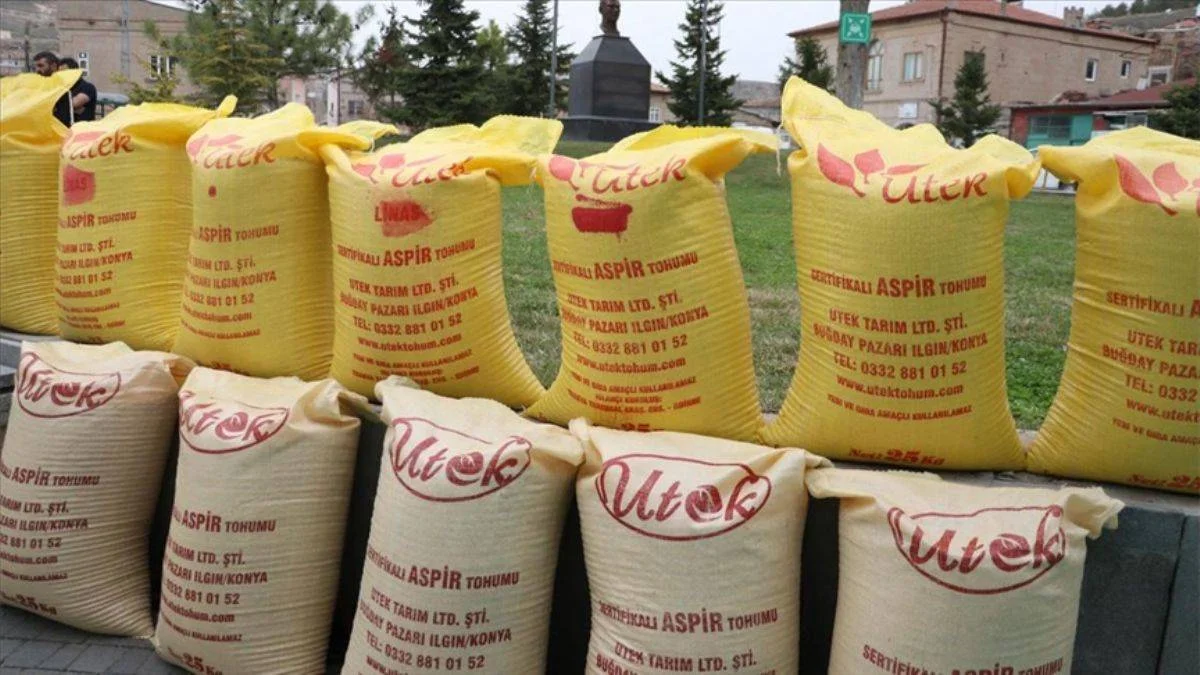Kayseri'de çiftçilere 18 ton aspir tohumu dağıtıldı