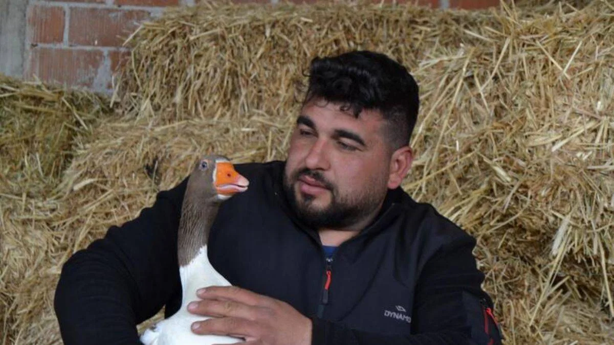 Kesmek için aldığı kaz, peşinden ayrılmıyor