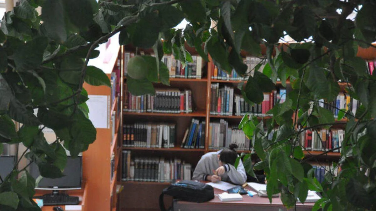 Kütüphane yenilenecek, limon ağacı korunacak