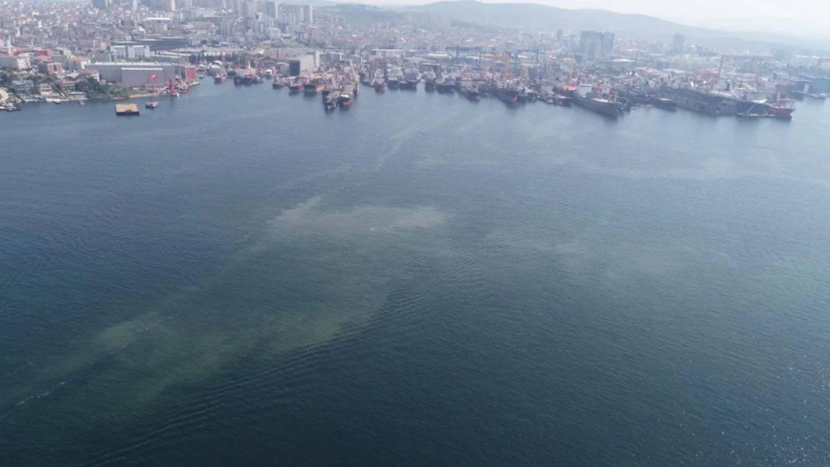 Müsilaj İstanbul sahillerine geri mi geliyor?