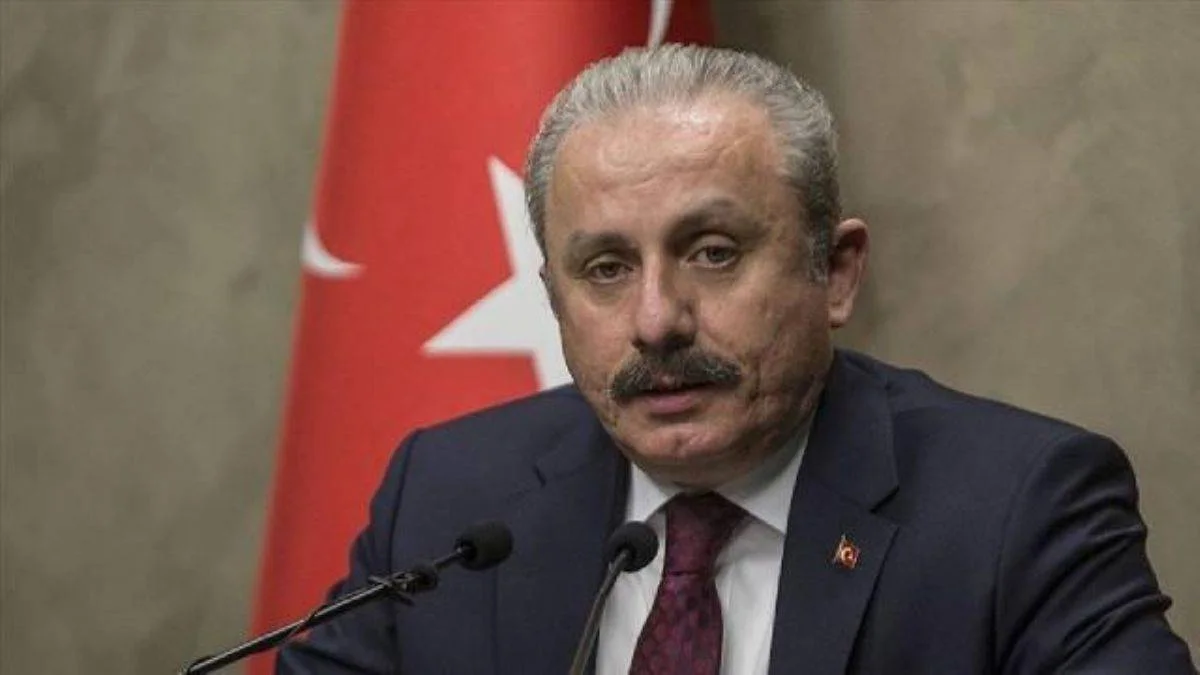 Şentop: Sosyal medya saldırısıyla karşı karşıya kaldım