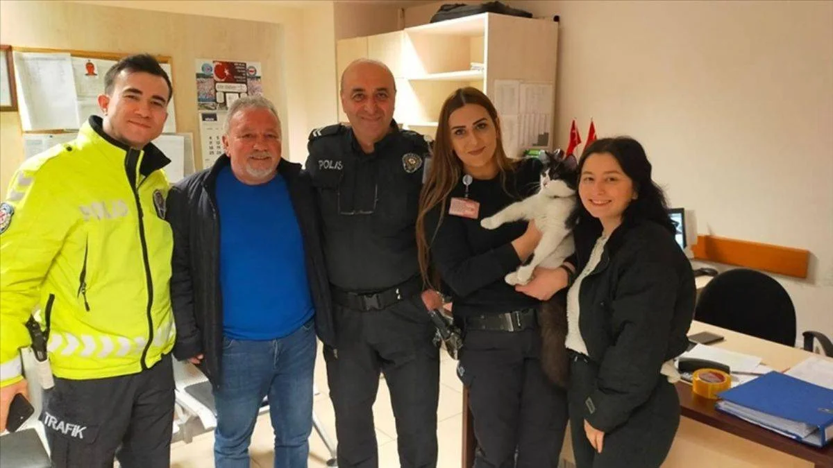 Trabzon'da havalimanında 'büyük operasyon': Kayıp kedi bulundu