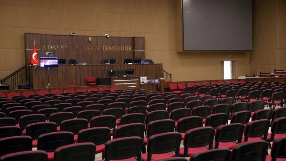 Trabzon'da kedi öldüren sanığa 2 yıl hapis cezası
