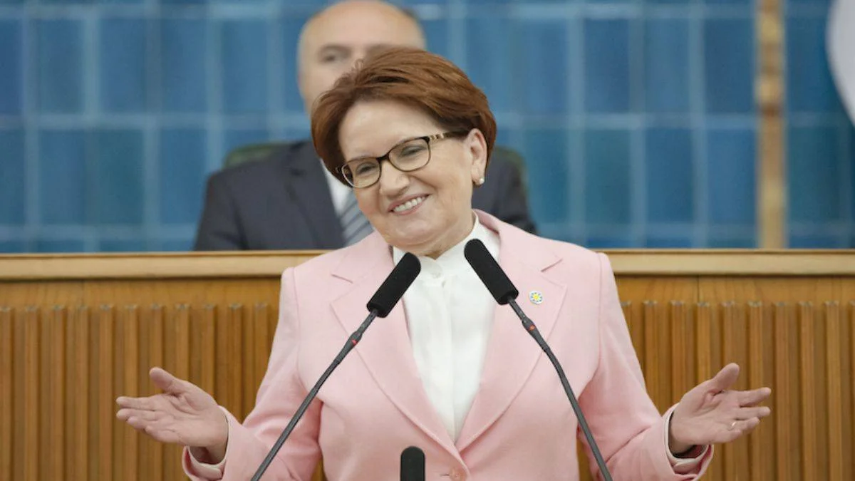 Akşener, Erdoğan'ı 'Tazmanya Canavarı'na benzetti