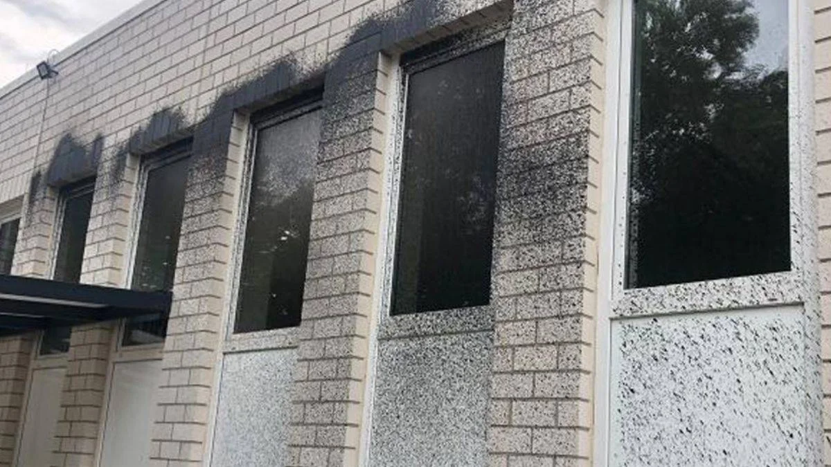 Almanya'da camiye siyah boyalı saldırı