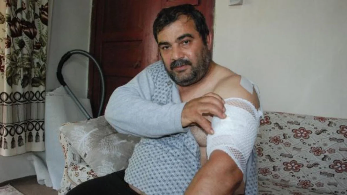 Ayı saldırısından ölü taklidi yaparak kurtuldu