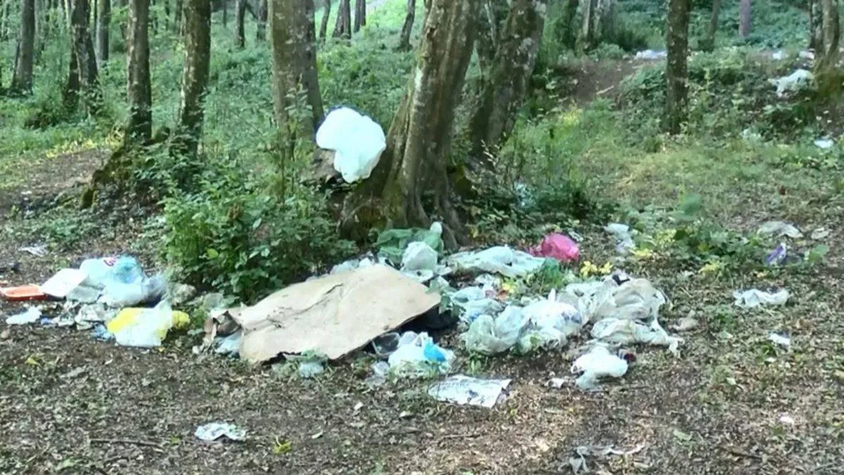 Belgrad Ormanı bir günde çöplüğe döndü