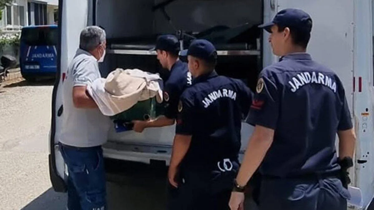 Betül bebek bıçaklanmış olarak ölü bulundu, anne gözaltına alındı
